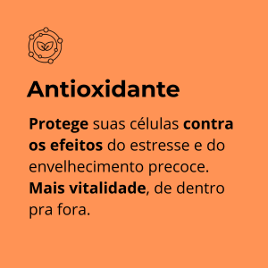 2-CAPSULAS-POR-DIA-contem-todas-vitaminas-que-sua-familia-precisa-de-A-a-Z-3-1.png