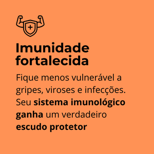 2-CAPSULAS-POR-DIA-contem-todas-vitaminas-que-sua-familia-precisa-de-A-a-Z-7.png